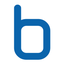 Logo van BORIT