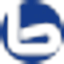 Logo van BORLIX