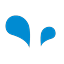 Logo van HOLVER
